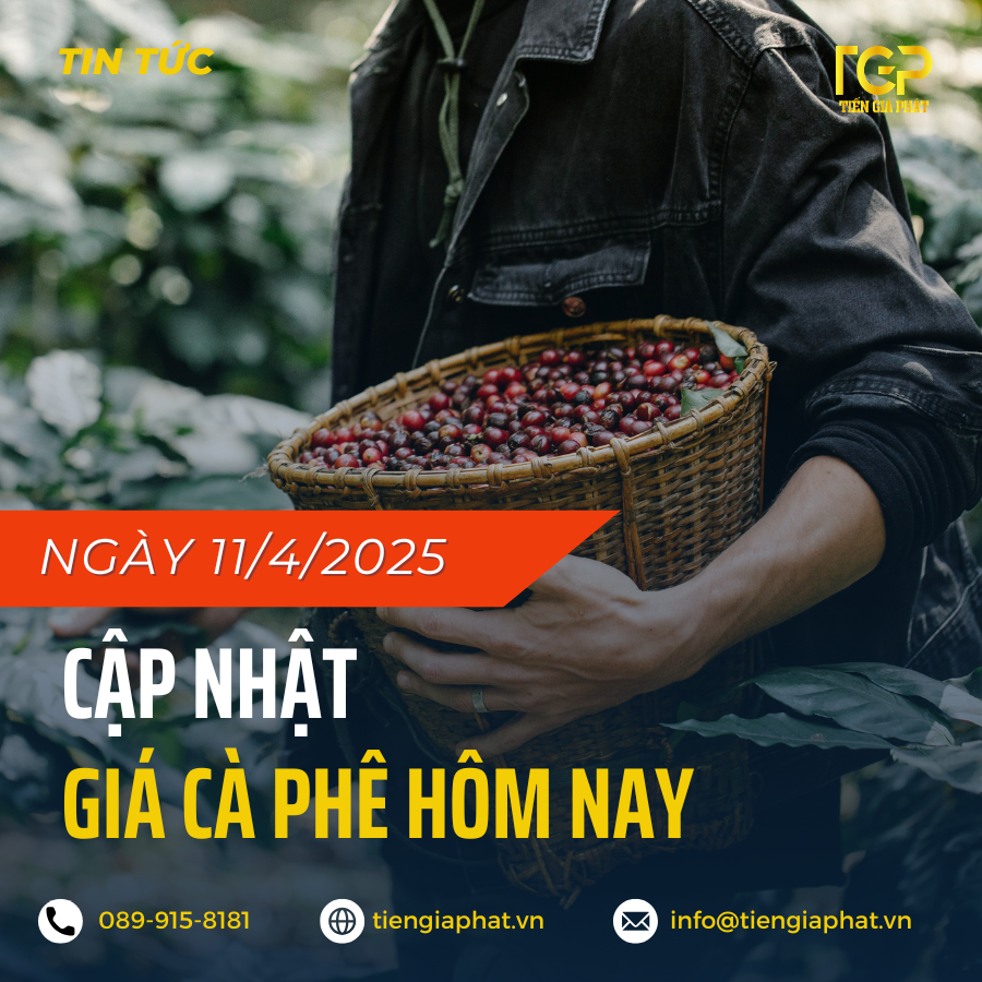GIÁ CÀ PHÊ NGÀY 11/4