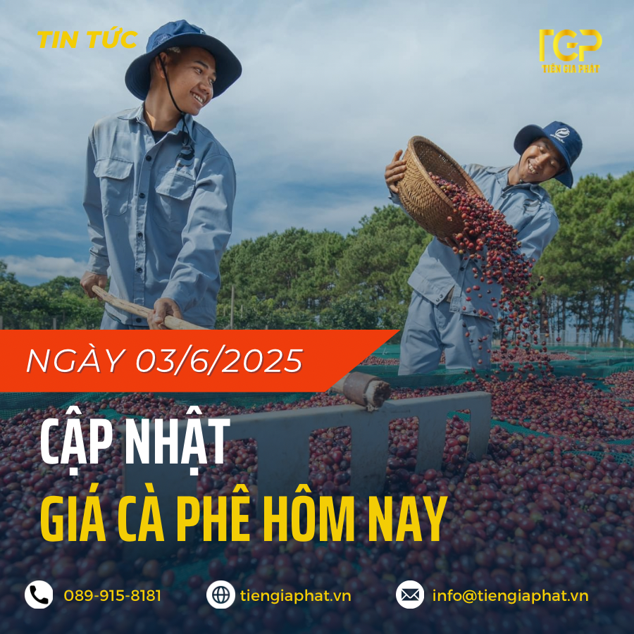 Giá cà phê ngày 3/6