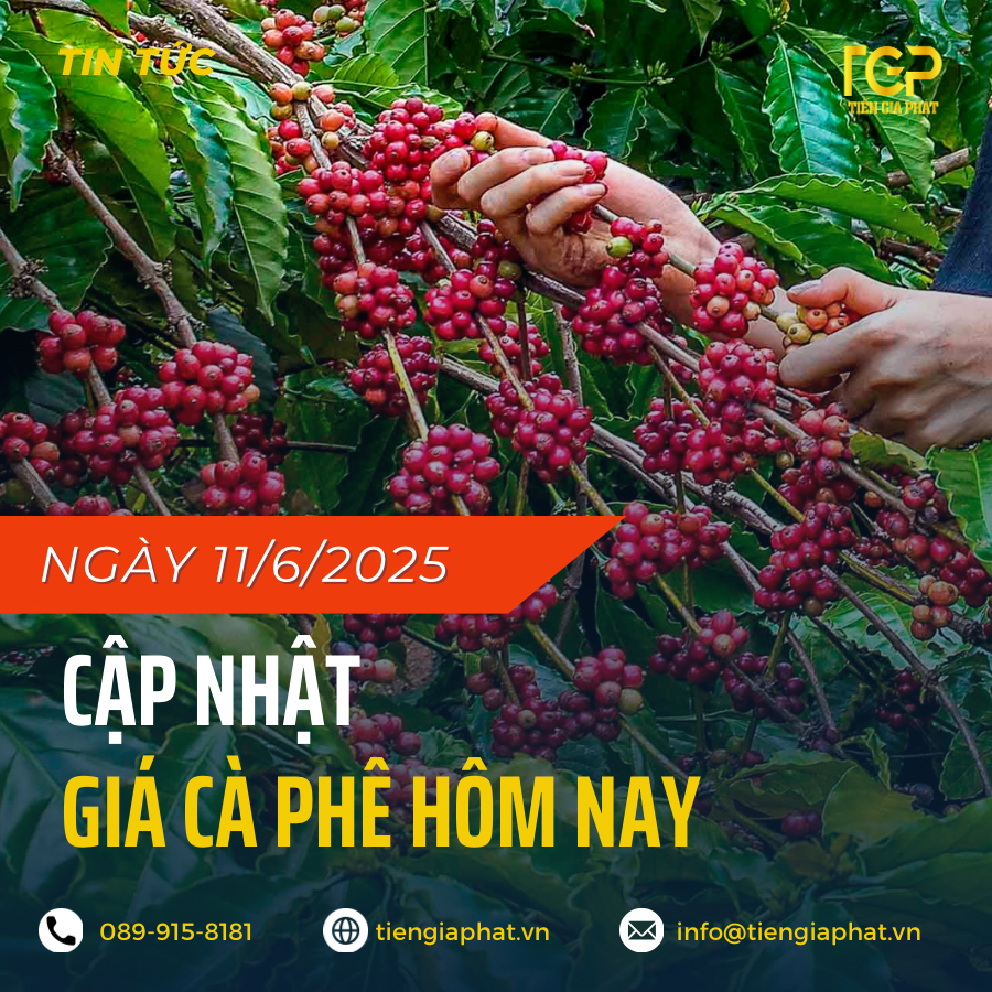 Giá cà phê ngày 11/6