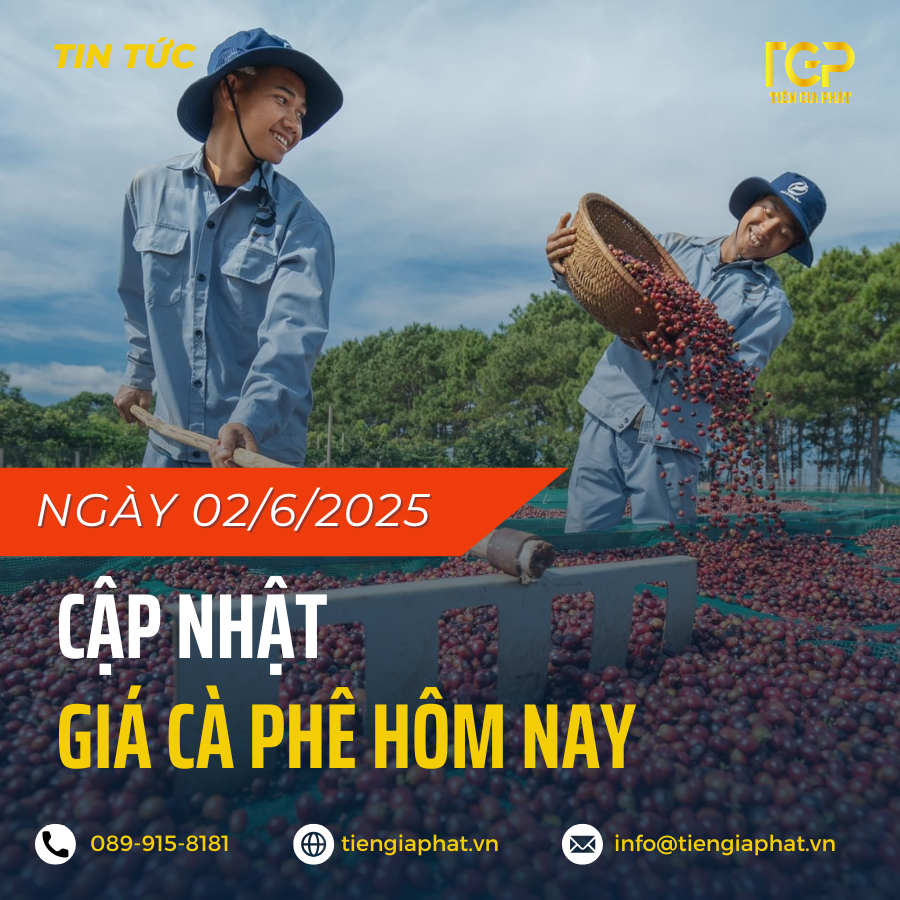 Giá cà phê hôm nay