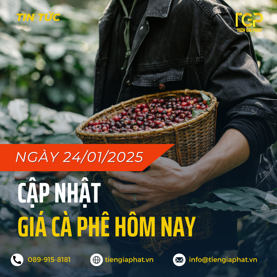 điểm tin thị trường cà phê ngày 24/01/2025