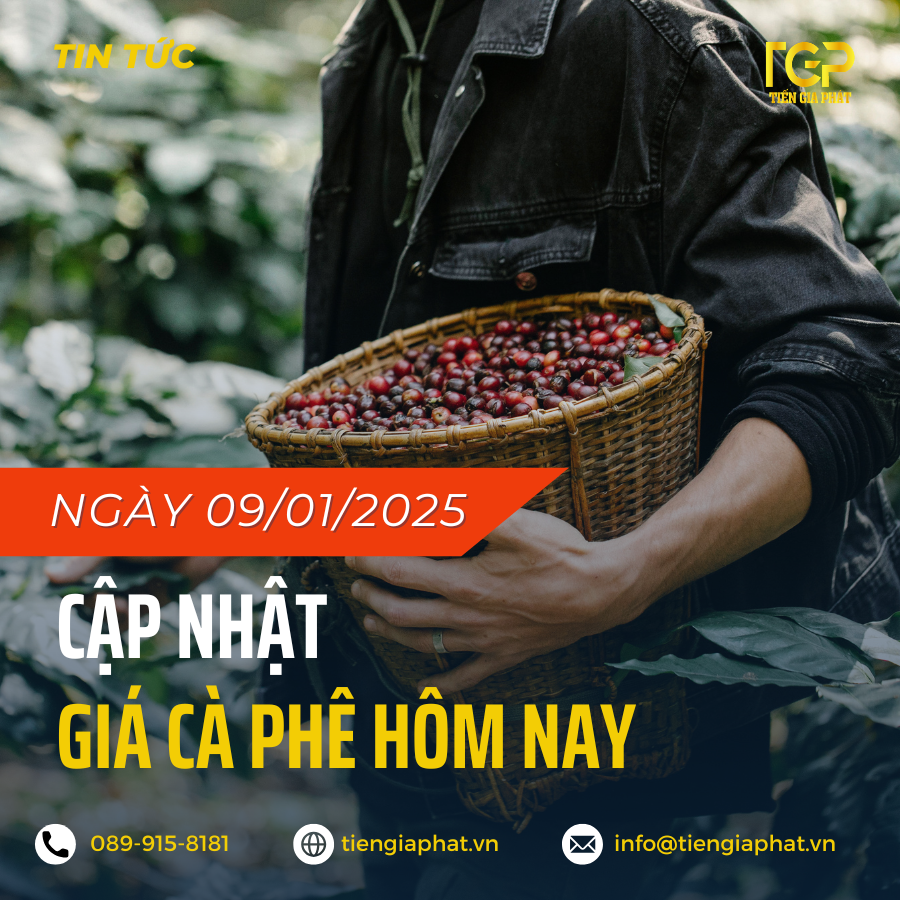 cập nhật giá cà phê 09/01