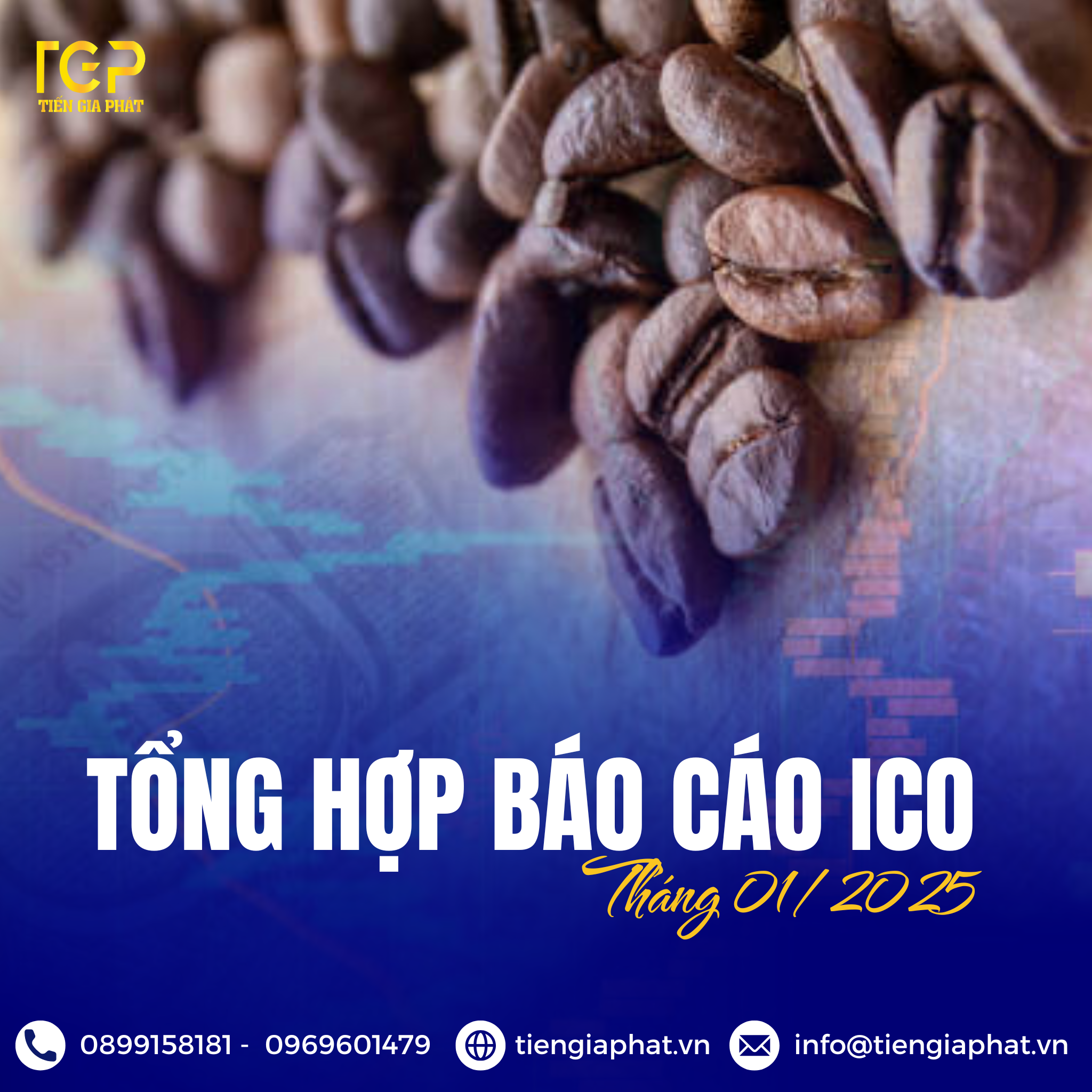 TỔNG HỢP BÁO CÁO ICO THÁNG 01/2025