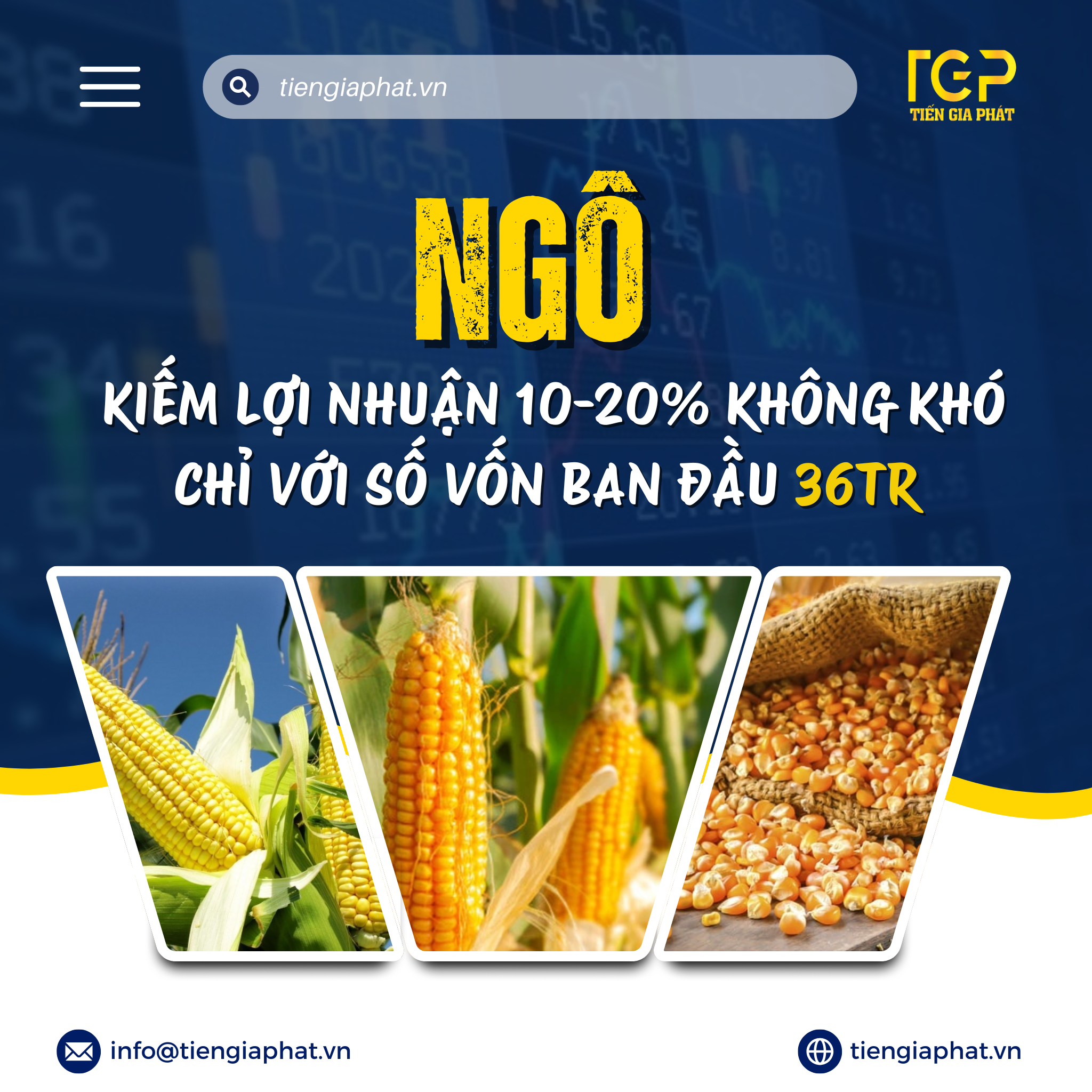 ĐẦU TƯ NGÔ - CƠ HỘI SINH LỜI CAO VỚI VỐN NHỎ