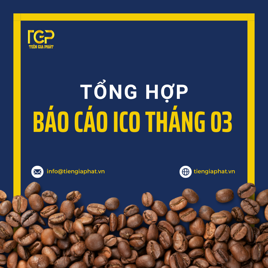 TỔNG HỢP BÁO CÁO ICO THÁNG 3/2025