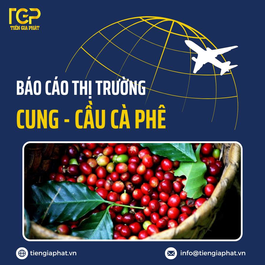 BÁO CÁO CUNG CẦU CÀ PHÊ