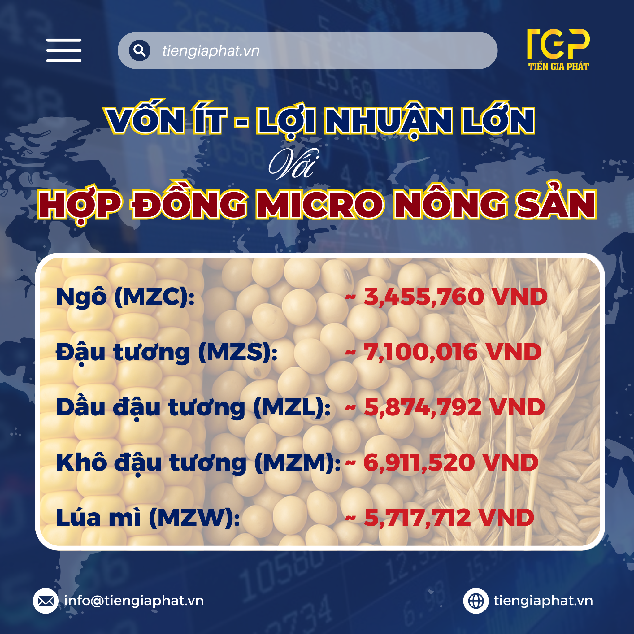 hợp đồng micro tương lai