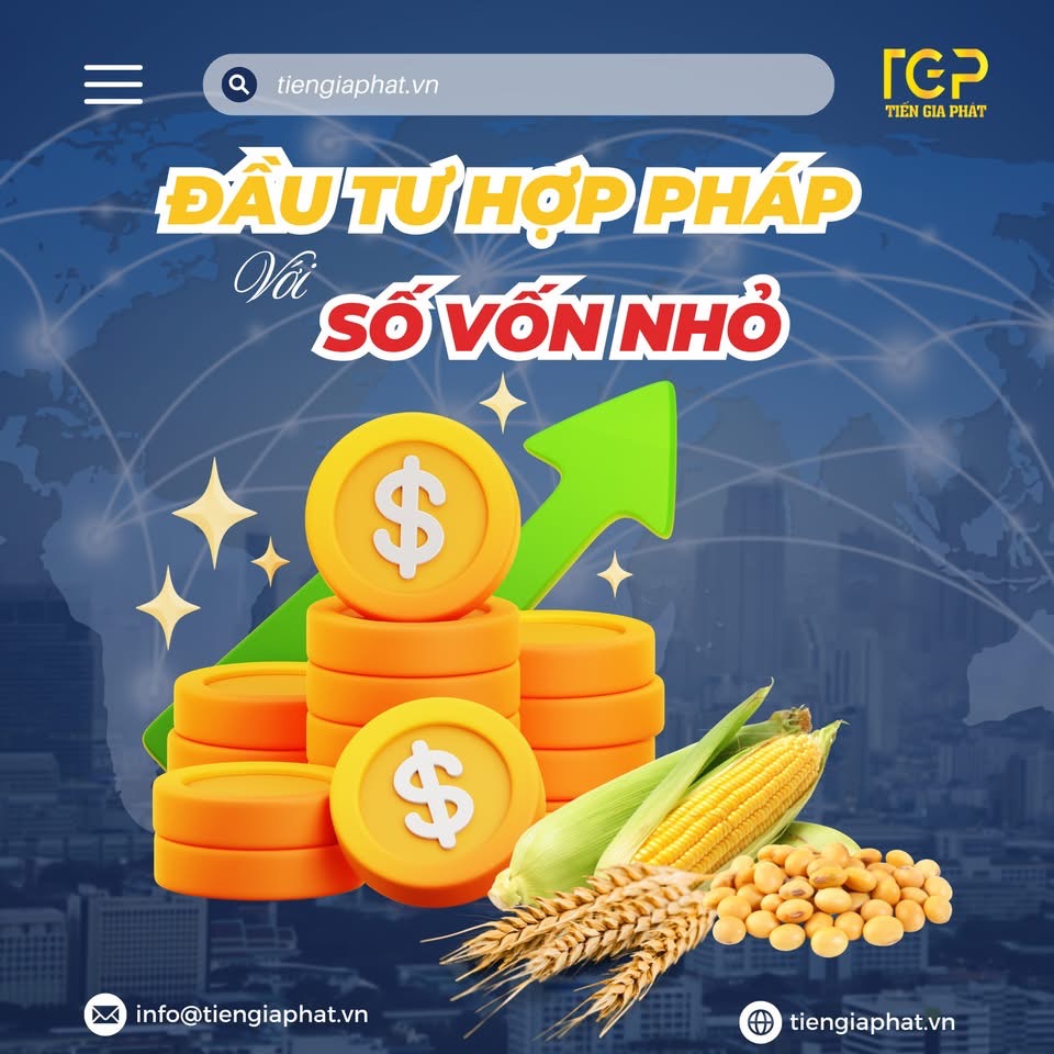 Hợp đồng Micro Nông sản