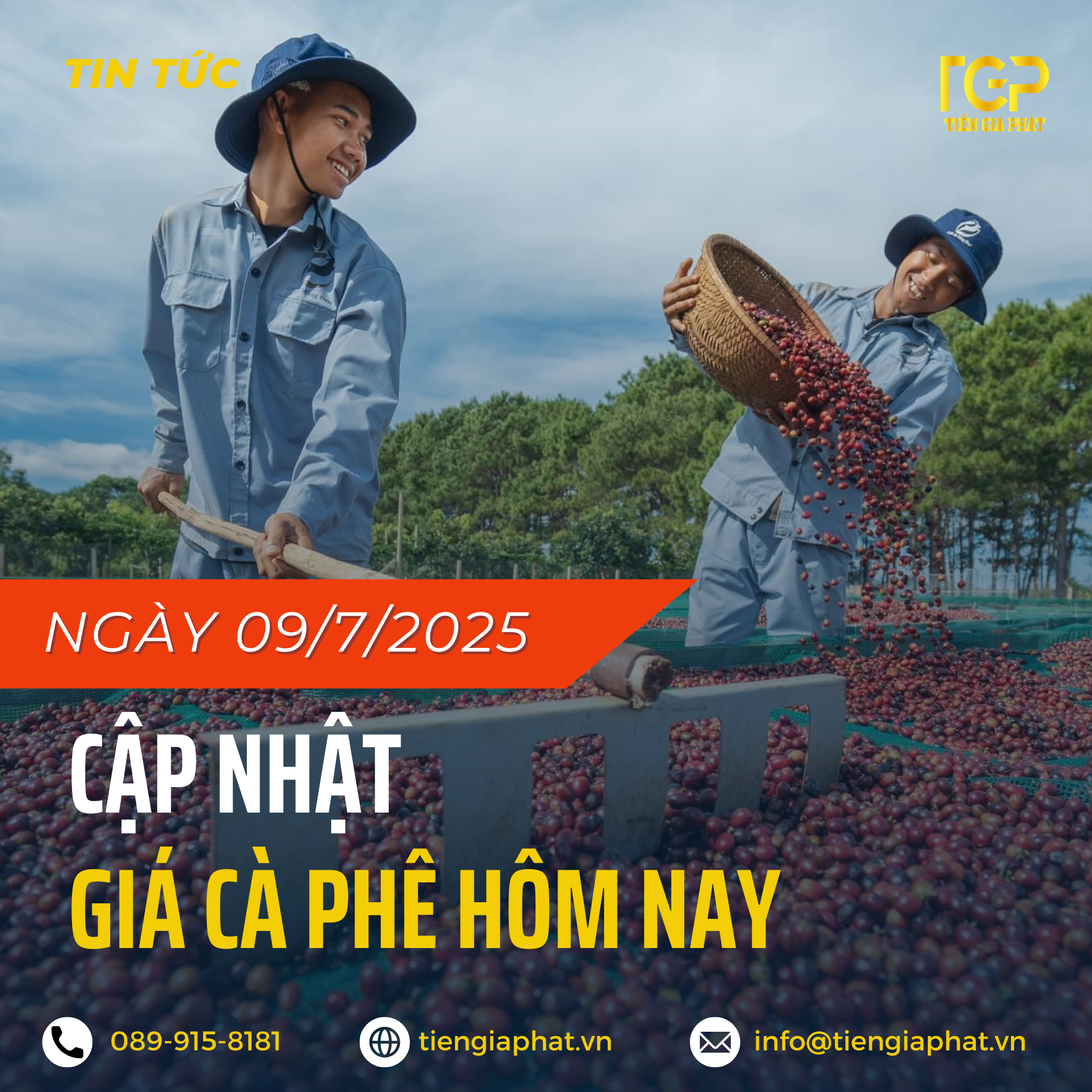 giá cà phê ngày 9/7