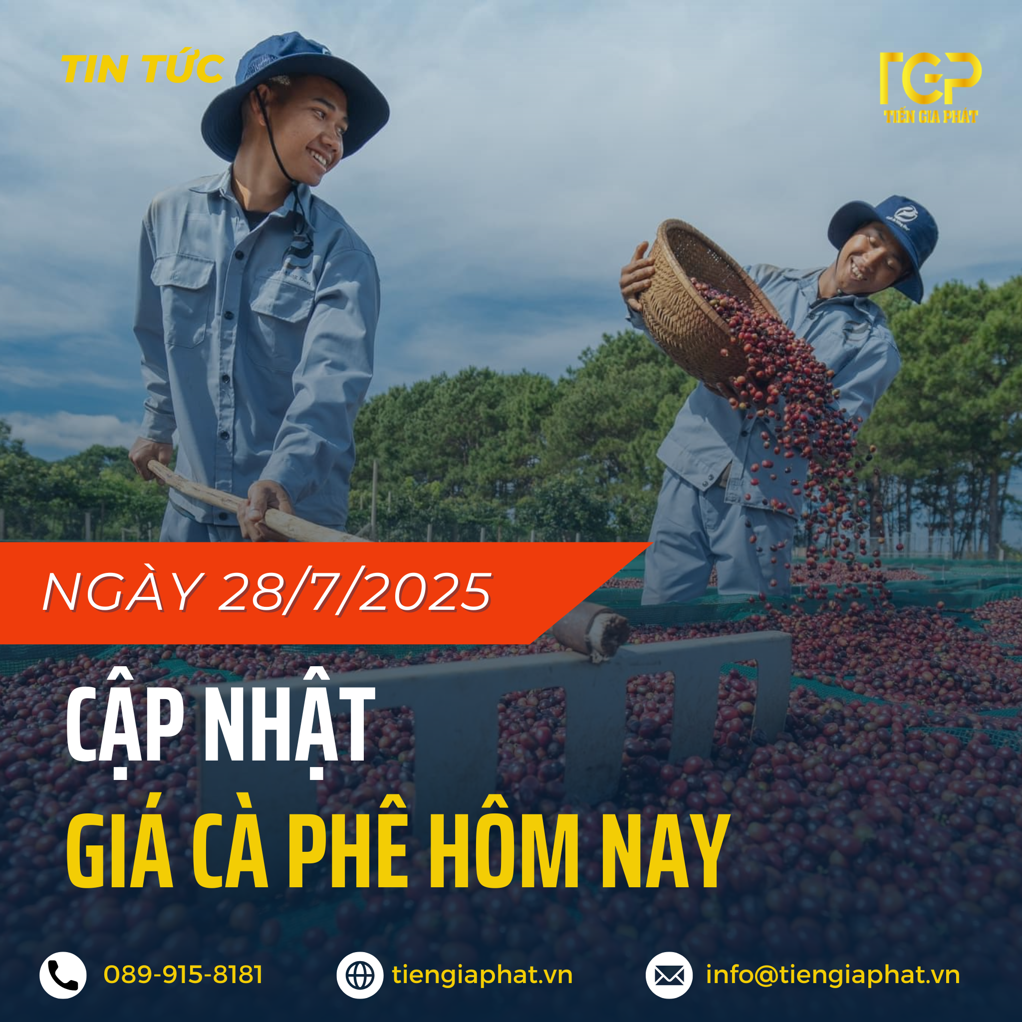 Giá cà phê ngày 28/7