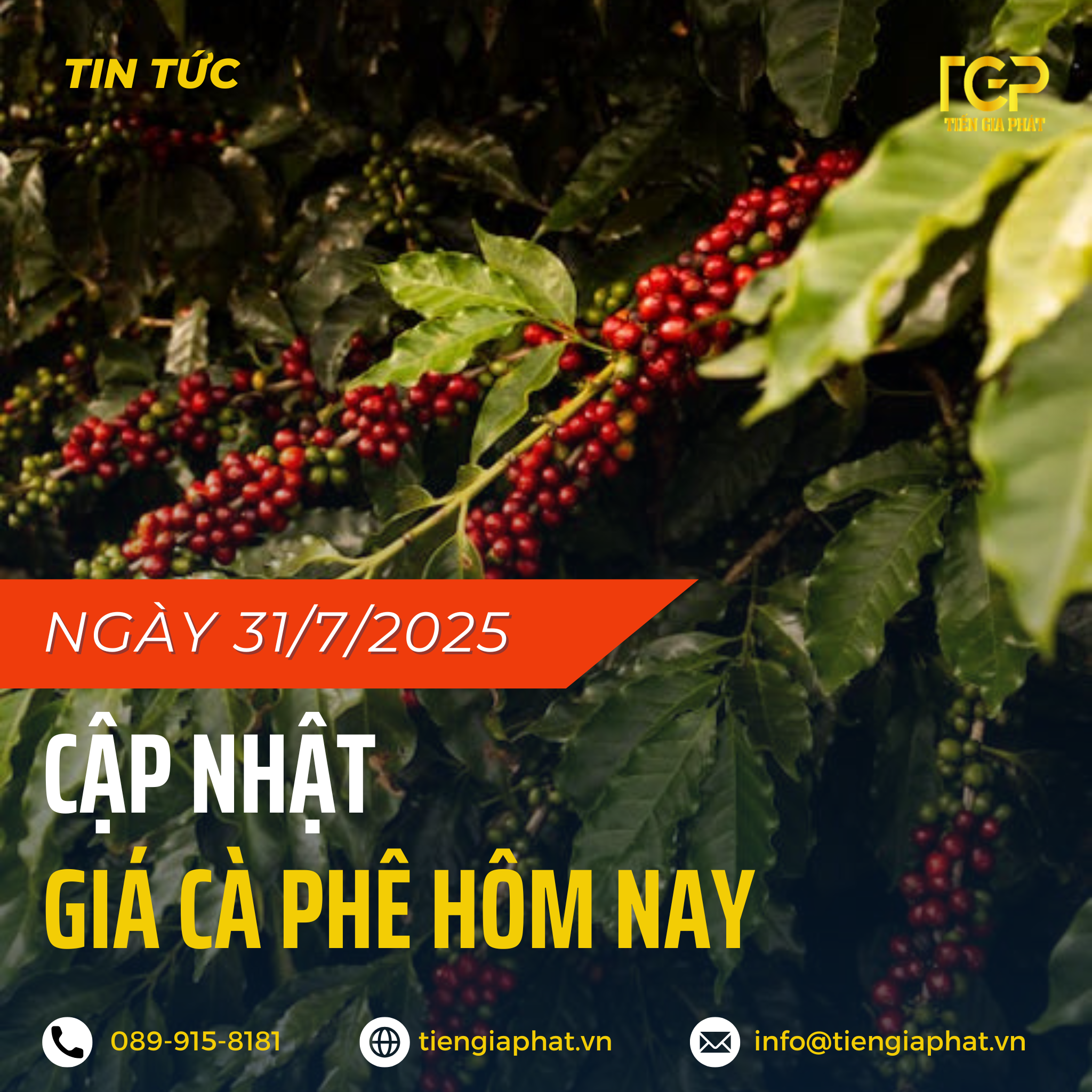 Giá cà phê ngày 31/7